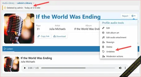 Profile Audio Player & Library32.webp