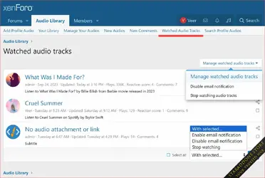 Profile Audio Player & Library11.webp