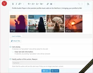 Profile Audio Player & Library3.webp
