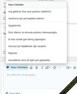 Ready answer sentences in the editor3.webp