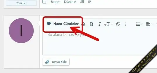 Ready answer sentences in the editor2.webp