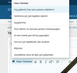 Ready answer sentences in the editor1.webp