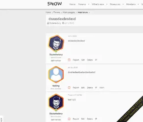 [Stylesfactory] Snow6.webp