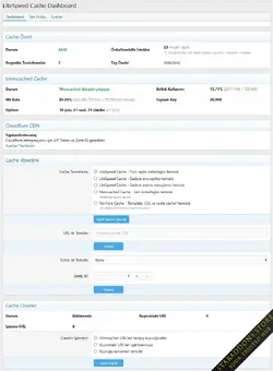 LiteSpeed Cache2.webp