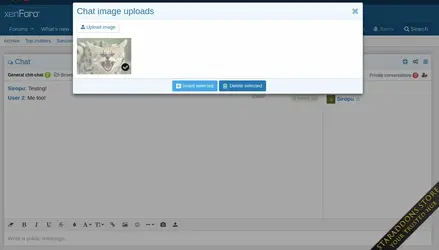 Chat 2 by Siropu12.webp