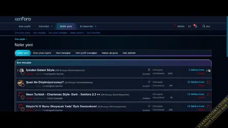 Neon Turkish4.webp