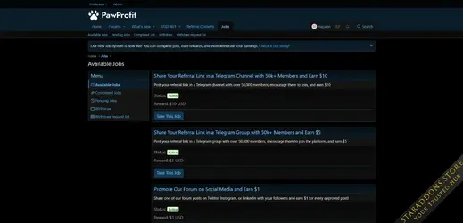 Job System by Olakunlevpn1.webp