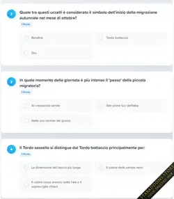 Quiz System PRO10.webp