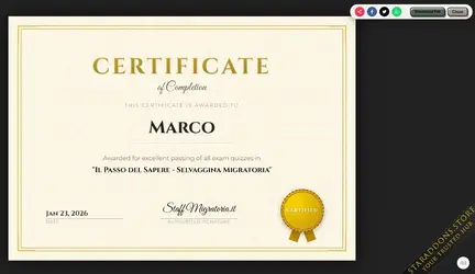 Quiz System PRO6.webp