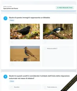 Quiz System PRO3.webp