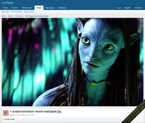 XenForo Media Gallery1.webp