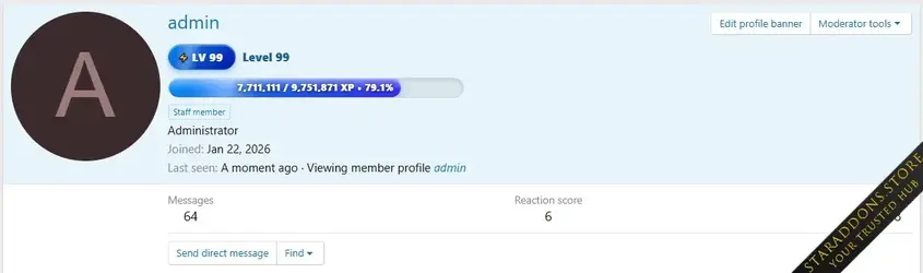 Level System1.webp