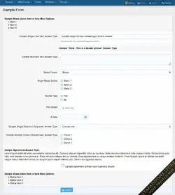 [OzzModz] Advanced Forms.webp