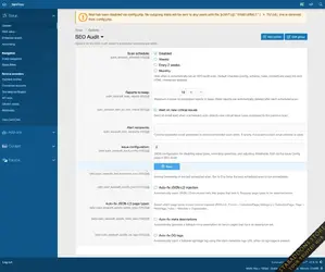 SEO Audit4.webp