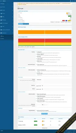 SEO Audit.webp